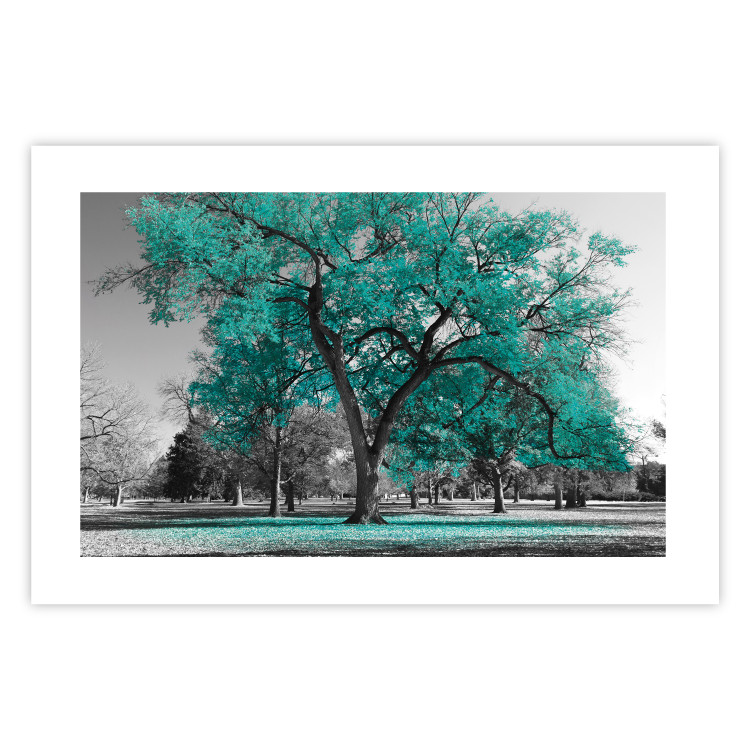 Wall Poster Autumn in the Park (Turquoise) - gray autumn tree and turquoise leaves 122762 additionalImage 25