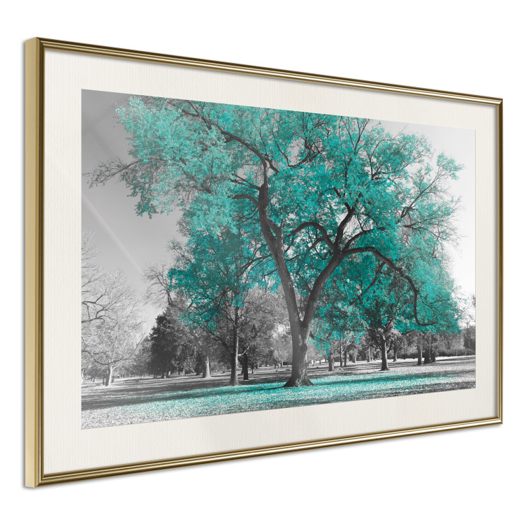 Wall Poster Autumn in the Park (Turquoise) - gray autumn tree and turquoise leaves 122762 additionalImage 5