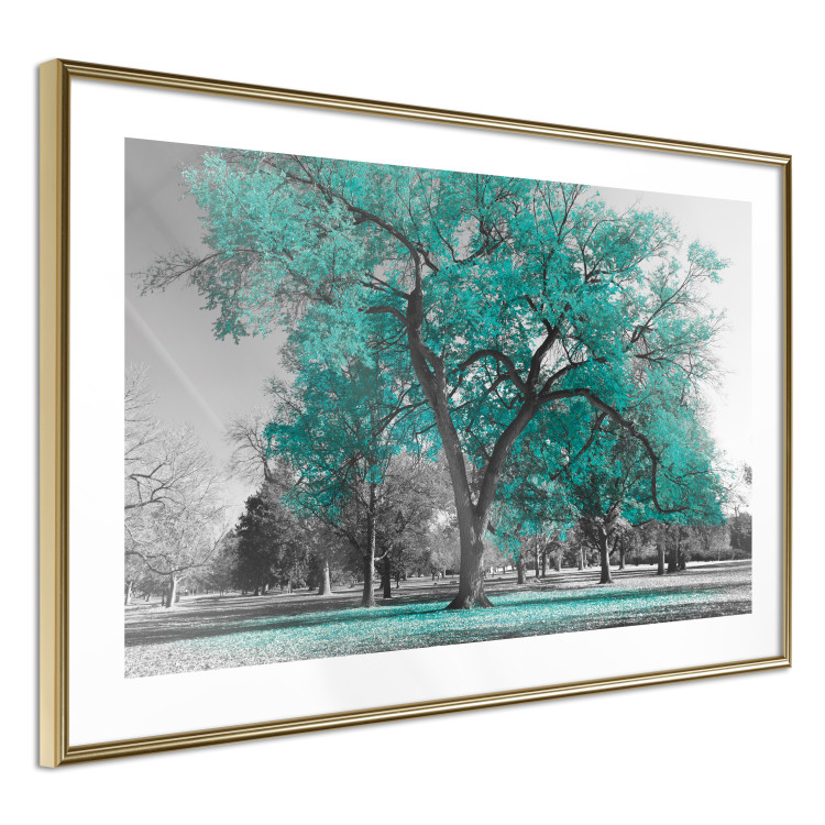 Wall Poster Autumn in the Park (Turquoise) - gray autumn tree and turquoise leaves 122762 additionalImage 10