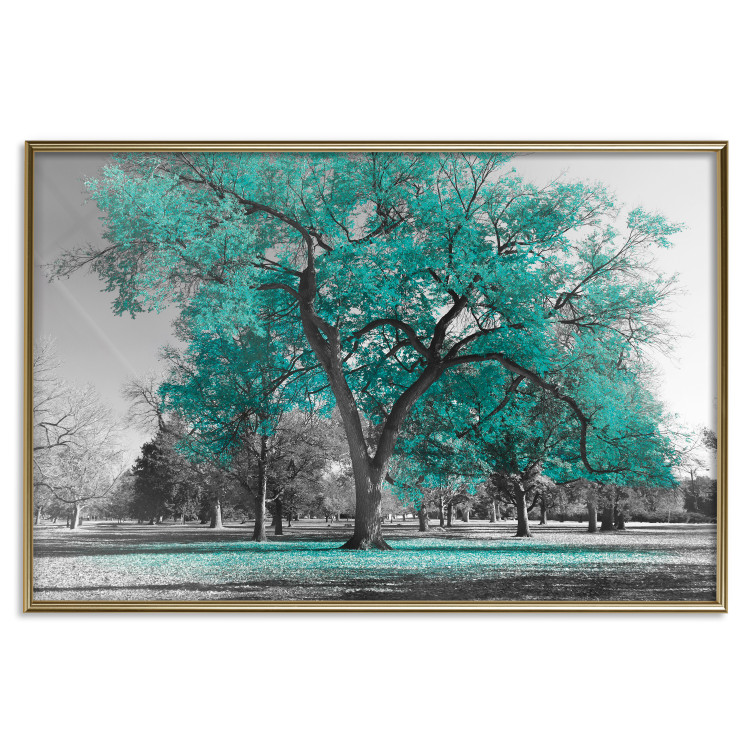 Wall Poster Autumn in the Park (Turquoise) - gray autumn tree and turquoise leaves 122762 additionalImage 16