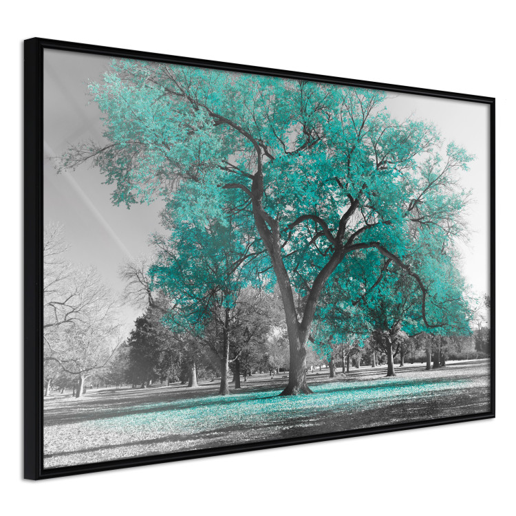 Wall Poster Autumn in the Park (Turquoise) - gray autumn tree and turquoise leaves 122762 additionalImage 11