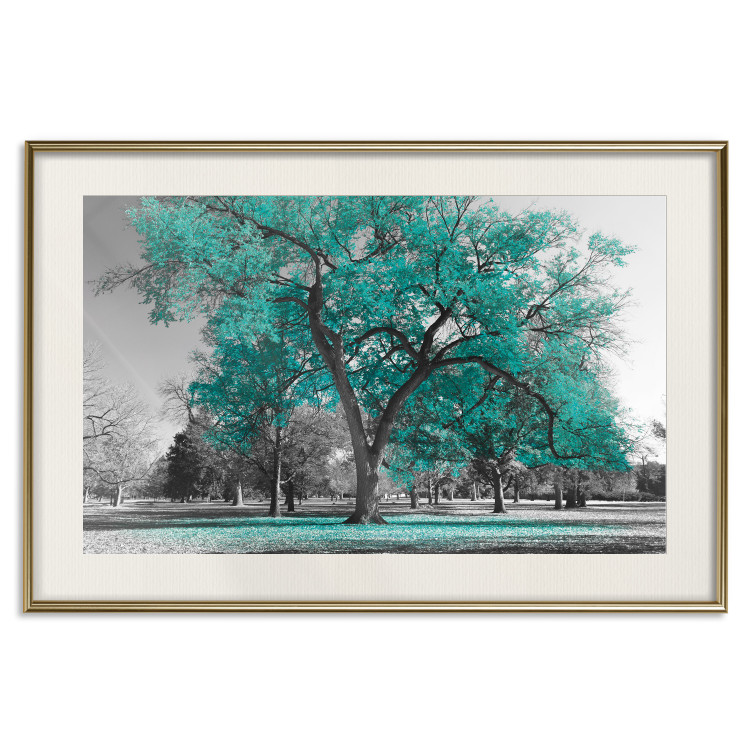 Wall Poster Autumn in the Park (Turquoise) - gray autumn tree and turquoise leaves 122762 additionalImage 19
