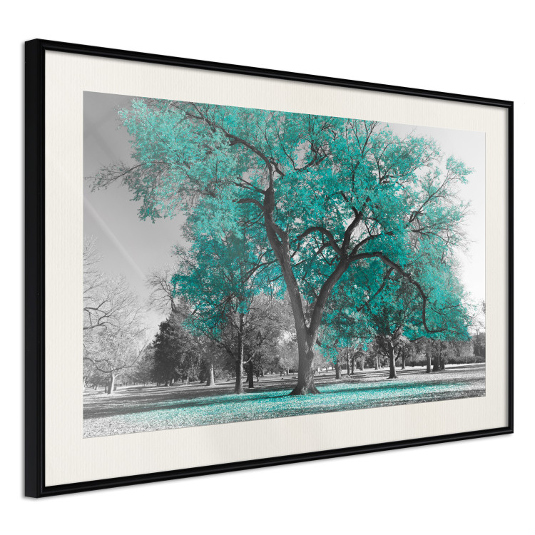 Wall Poster Autumn in the Park (Turquoise) - gray autumn tree and turquoise leaves 122762 additionalImage 8