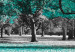 Wall Poster Autumn in the Park (Turquoise) - gray autumn tree and turquoise leaves 122762 additionalThumb 2