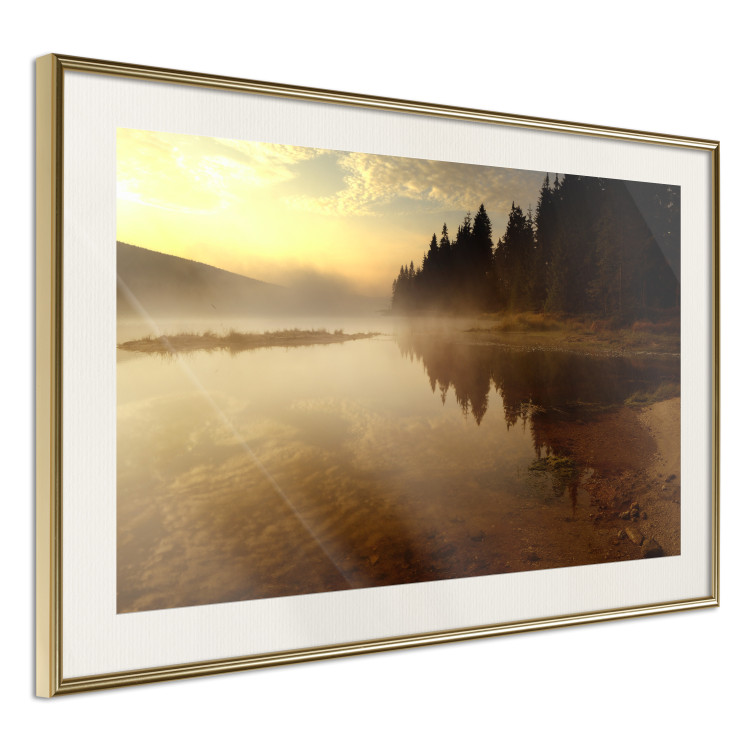 Wall Poster Autumn Evening - autumn landscape of trees at sunset 124462 additionalImage 2