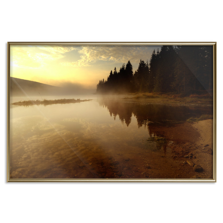Wall Poster Autumn Evening - autumn landscape of trees at sunset 124462 additionalImage 15