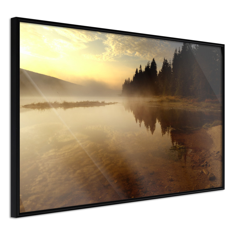 Wall Poster Autumn Evening - autumn landscape of trees at sunset 124462 additionalImage 9