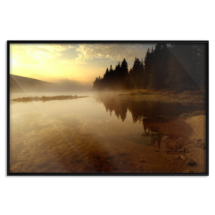 Wall Poster Autumn Evening - autumn landscape of trees at sunset 124462 additionalImage 20