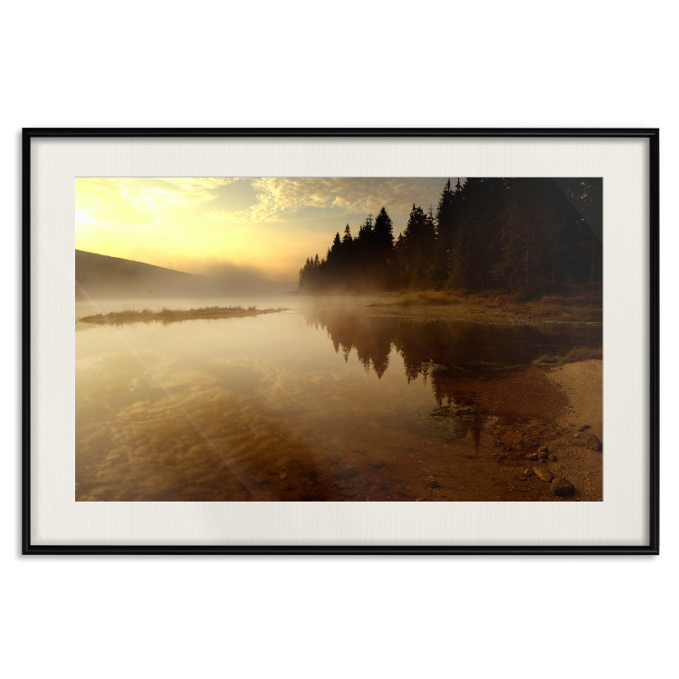 Wall Poster Autumn Evening - autumn landscape of trees at sunset 124462 additionalImage 27