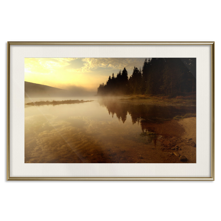 Wall Poster Autumn Evening - autumn landscape of trees at sunset 124462 additionalImage 26