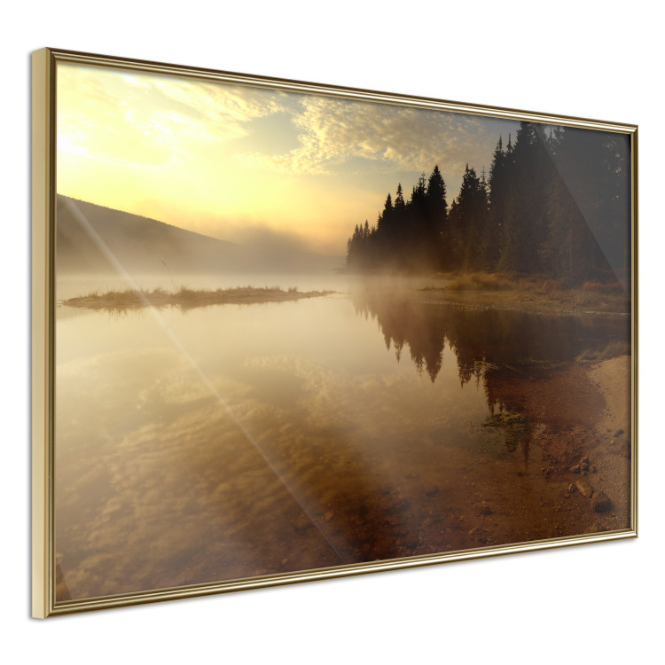 Wall Poster Autumn Evening - autumn landscape of trees at sunset 124462 additionalImage 13