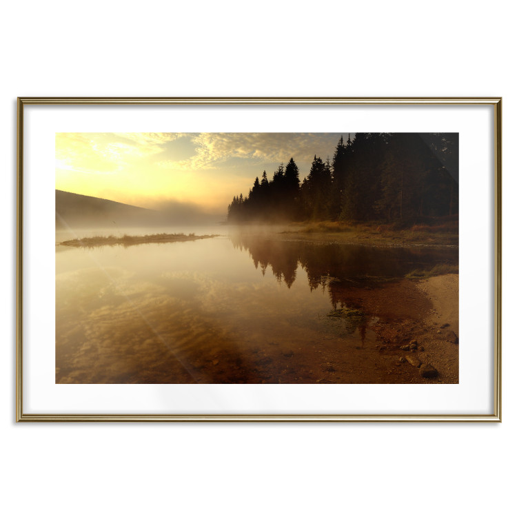 Wall Poster Autumn Evening - autumn landscape of trees at sunset 124462 additionalImage 18