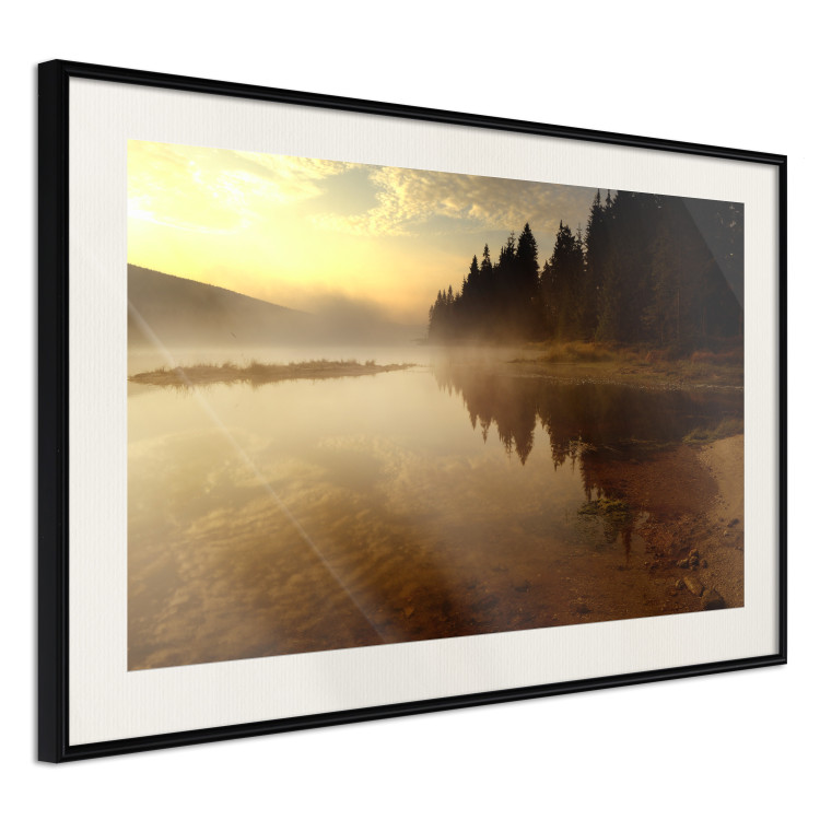 Wall Poster Autumn Evening - autumn landscape of trees at sunset 124462 additionalImage 3