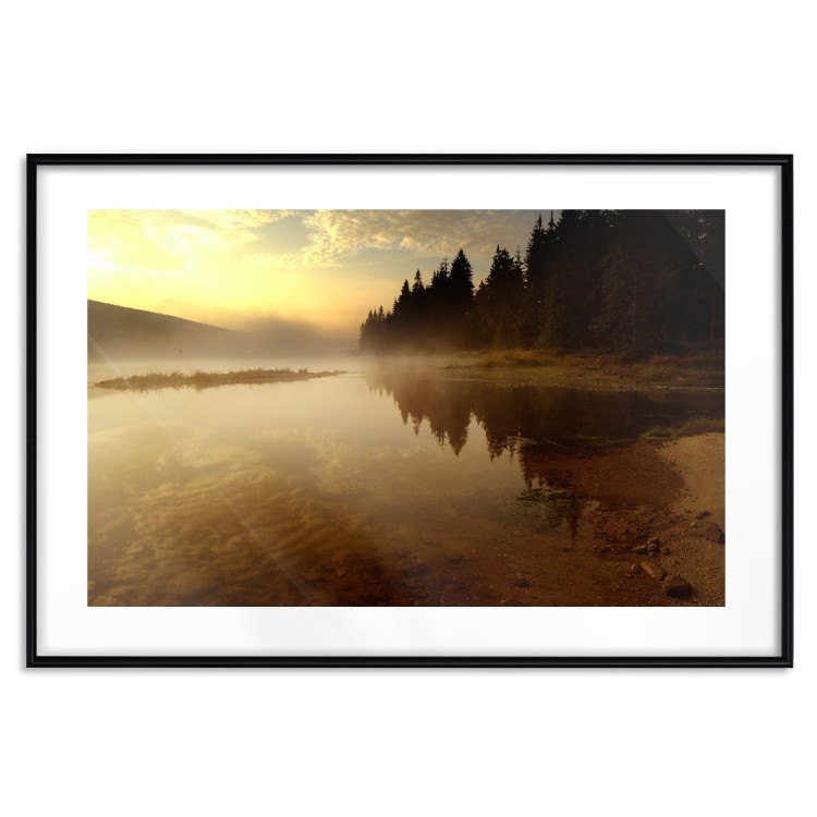 Wall Poster Autumn Evening - autumn landscape of trees at sunset 124462 additionalImage 17