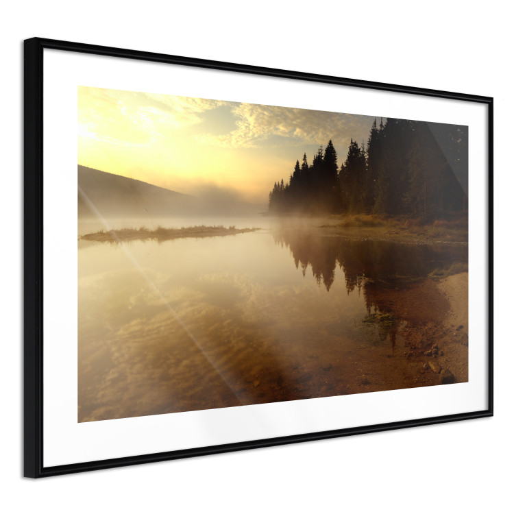 Wall Poster Autumn Evening - autumn landscape of trees at sunset 124462 additionalImage 10