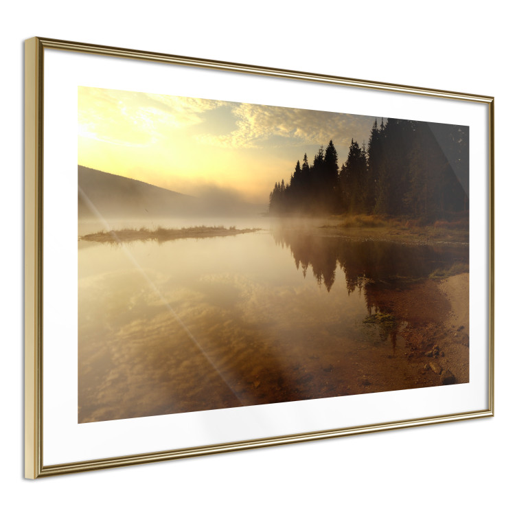 Wall Poster Autumn Evening - autumn landscape of trees at sunset 124462 additionalImage 5