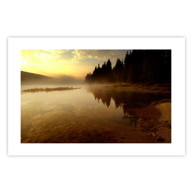 Wall Poster Autumn Evening - autumn landscape of trees at sunset 124462 additionalImage 14