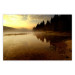 Wall Poster Autumn Evening - autumn landscape of trees at sunset 124462