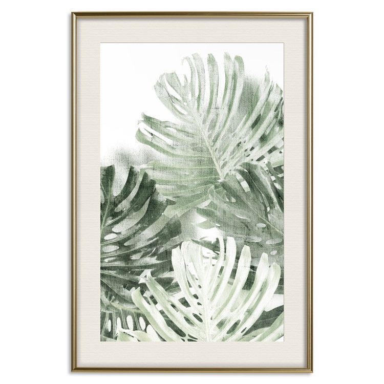 Poster Cool Green - composition of green monstera leaves on a white background 126862 additionalImage 20
