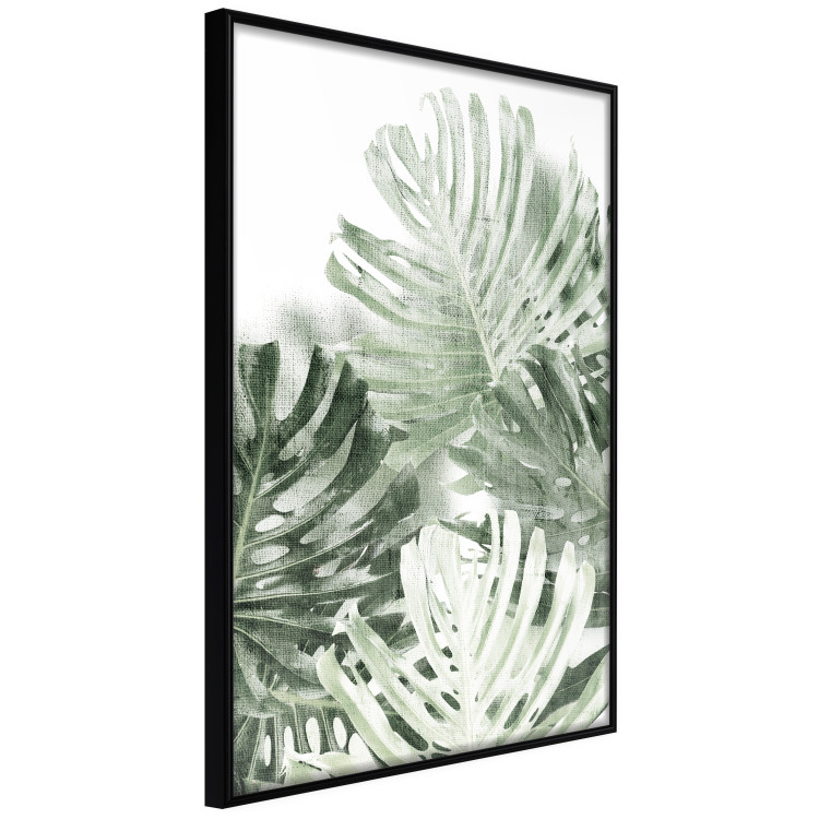 Poster Cool Green - composition of green monstera leaves on a white background 126862 additionalImage 13