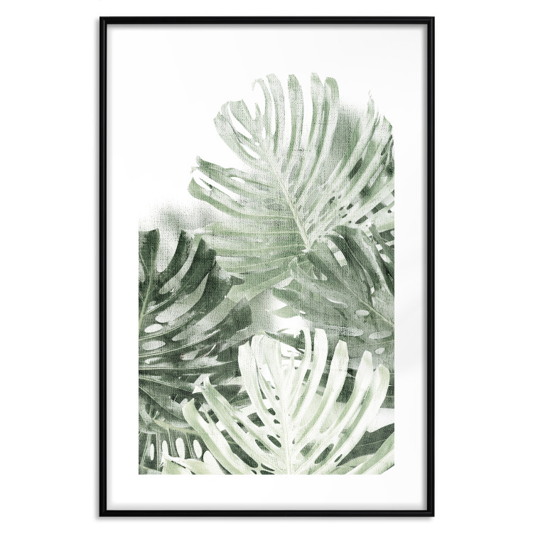 Poster Cool Green - composition of green monstera leaves on a white background 126862 additionalImage 17
