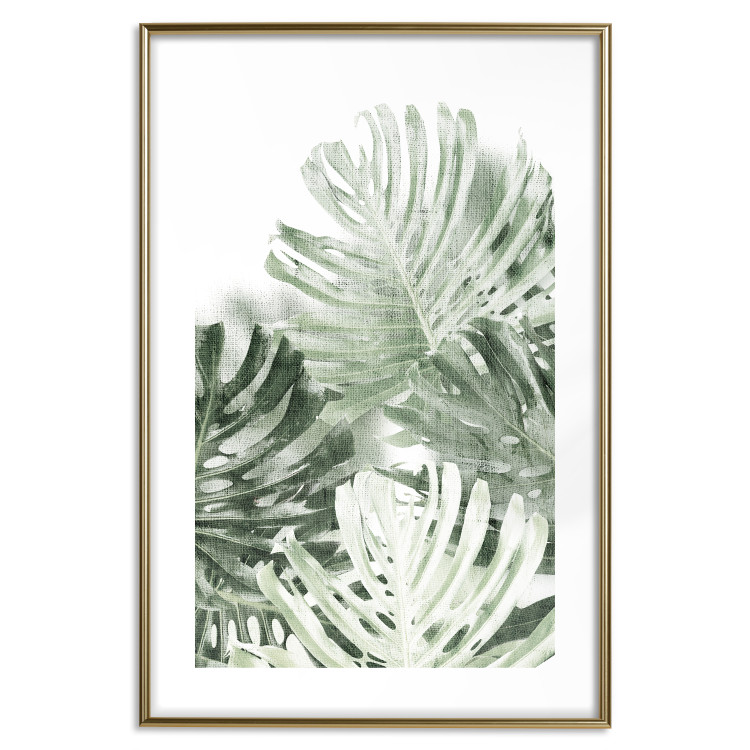 Poster Cool Green - composition of green monstera leaves on a white background 126862 additionalImage 14