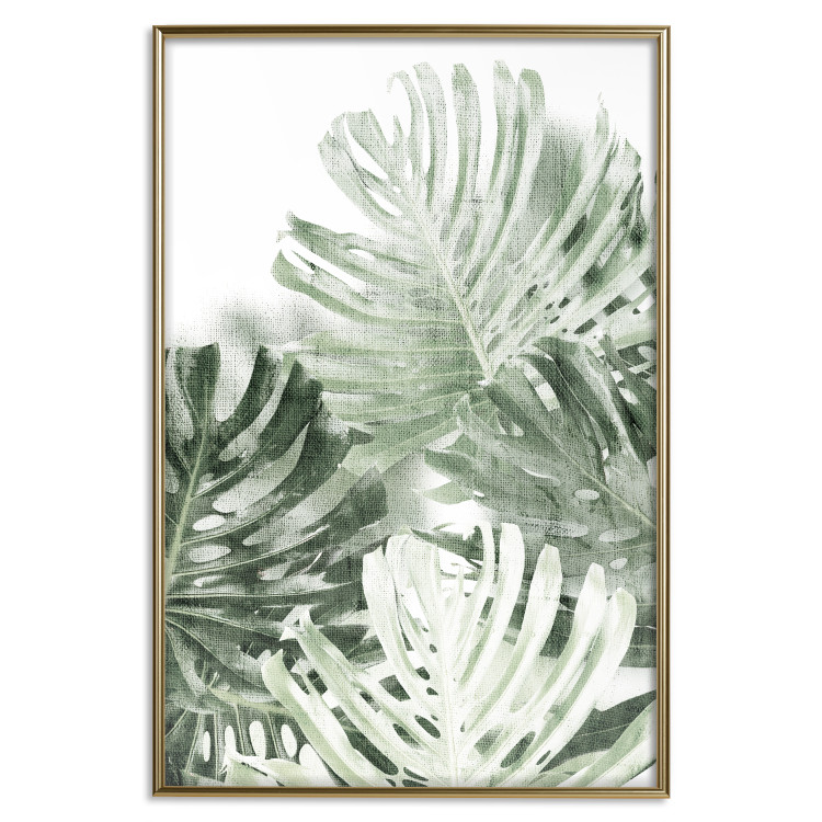 Poster Cool Green - composition of green monstera leaves on a white background 126862 additionalImage 17