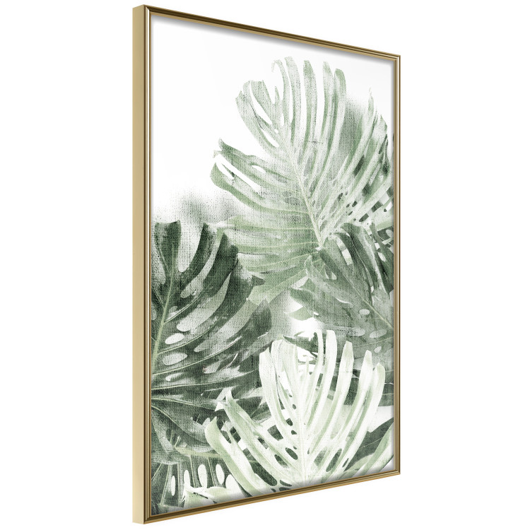 Poster Cool Green - composition of green monstera leaves on a white background 126862 additionalImage 14