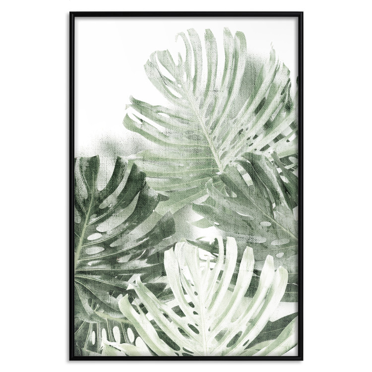 Poster Cool Green - composition of green monstera leaves on a white background 126862 additionalImage 16