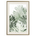 Poster Cool Green - composition of green monstera leaves on a white background 126862 additionalThumb 20