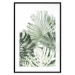 Poster Cool Green - composition of green monstera leaves on a white background 126862 additionalThumb 17