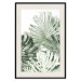 Poster Cool Green - composition of green monstera leaves on a white background 126862 additionalThumb 19