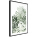 Poster Cool Green - composition of green monstera leaves on a white background 126862 additionalThumb 6