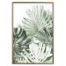 Poster Cool Green - composition of green monstera leaves on a white background 126862 additionalThumb 21