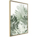 Poster Cool Green - composition of green monstera leaves on a white background 126862 additionalThumb 14