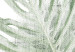 Poster Cool Green - composition of green monstera leaves on a white background 126862 additionalThumb 9