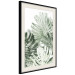 Poster Cool Green - composition of green monstera leaves on a white background 126862 additionalThumb 2