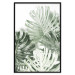 Poster Cool Green - composition of green monstera leaves on a white background 126862 additionalThumb 18