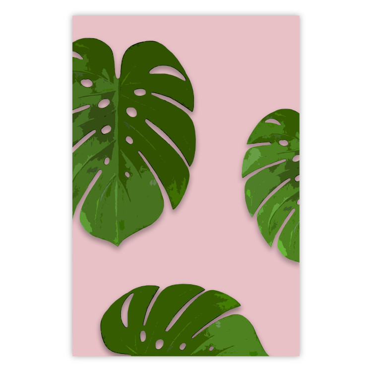Wall Poster Fragment of Exoticism - tropical green monstera leaves on a pink background 127062