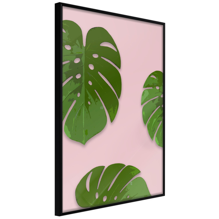 Wall Poster Fragment of Exoticism - tropical green monstera leaves on a pink background 127062 additionalImage 11