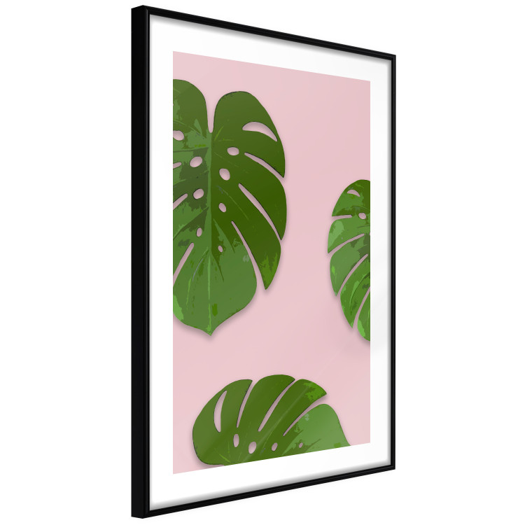 Wall Poster Fragment of Exoticism - tropical green monstera leaves on a pink background 127062 additionalImage 6