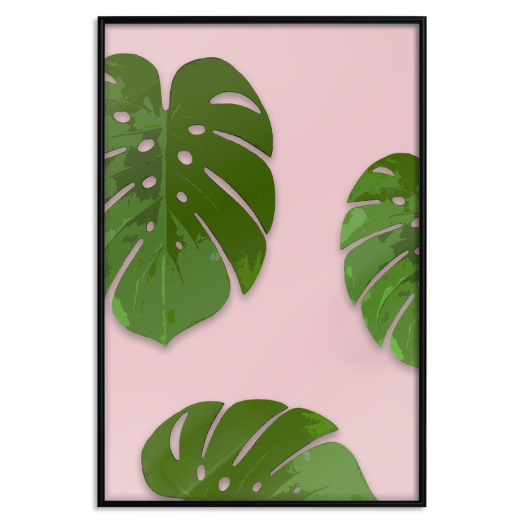 Wall Poster Fragment of Exoticism - tropical green monstera leaves on a pink background 127062 additionalImage 20