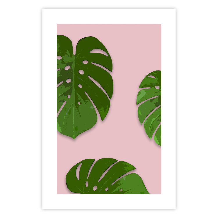 Wall Poster Fragment of Exoticism - tropical green monstera leaves on a pink background 127062 additionalImage 19