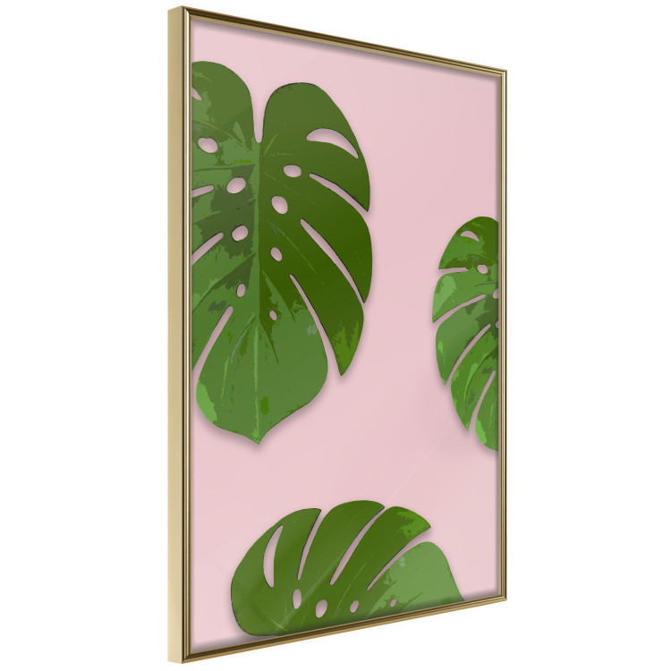 Wall Poster Fragment of Exoticism - tropical green monstera leaves on a pink background 127062 additionalImage 12