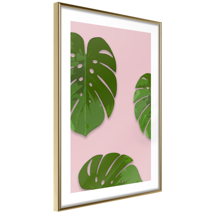 Wall Poster Fragment of Exoticism - tropical green monstera leaves on a pink background 127062 additionalImage 7