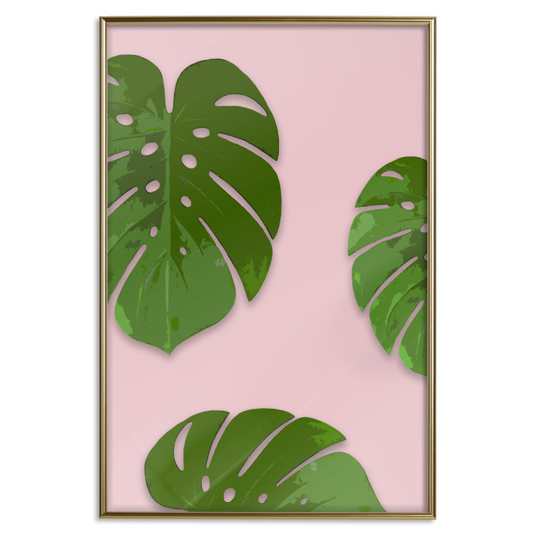 Wall Poster Fragment of Exoticism - tropical green monstera leaves on a pink background 127062 additionalImage 18