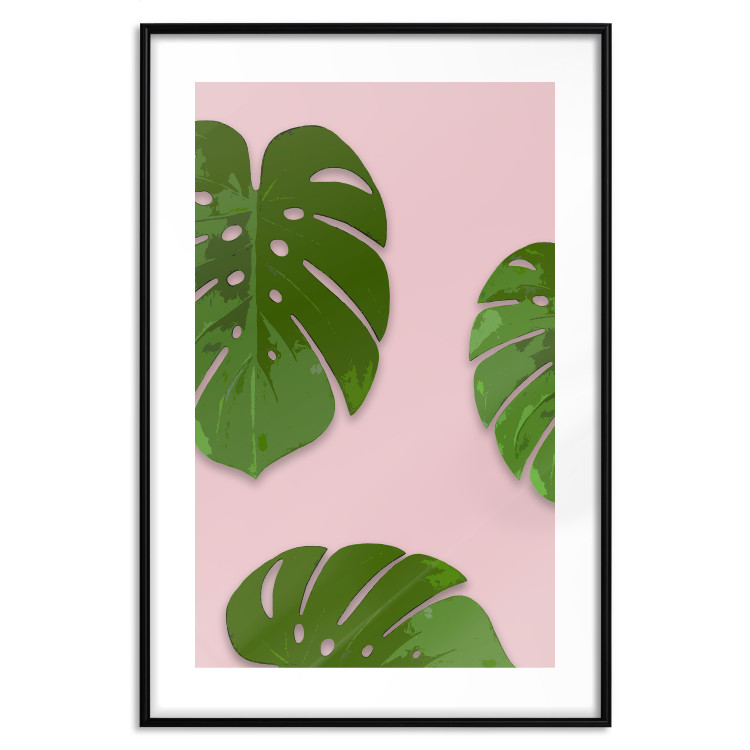 Wall Poster Fragment of Exoticism - tropical green monstera leaves on a pink background 127062 additionalImage 15
