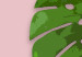Wall Poster Fragment of Exoticism - tropical green monstera leaves on a pink background 127062 additionalThumb 9