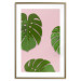 Wall Poster Fragment of Exoticism - tropical green monstera leaves on a pink background 127062 additionalThumb 16