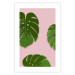 Wall Poster Fragment of Exoticism - tropical green monstera leaves on a pink background 127062 additionalThumb 19